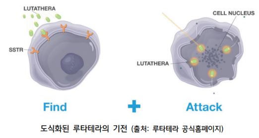 도식화된 '루타테라'의 기전을 보여주는 자료.